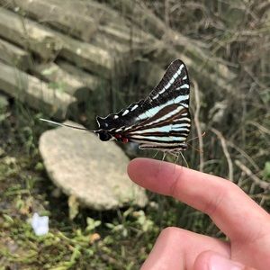 Meet your Posher, Noah